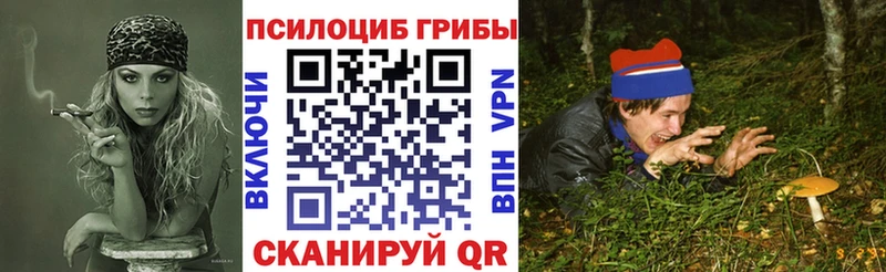 Псилоцибиновые грибы мицелий  Барабинск 